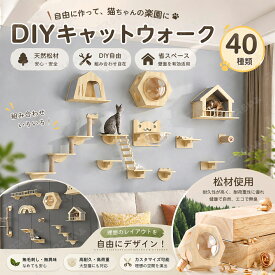 新品発売 キャットウォーク 壁掛け キャットタワー 有孔ボード 壁掛け式猫用ステップ 壁面 棚 DIY 壁 天然木 壁掛け猫クライマーセット 猫用 カスタム猫壁 猫家具 キャットステップ 猫棚 猫ハウス 木製 多孔ボード 爪とぎポール 壁付け 遊び場 ストレス解消 取り付け簡単