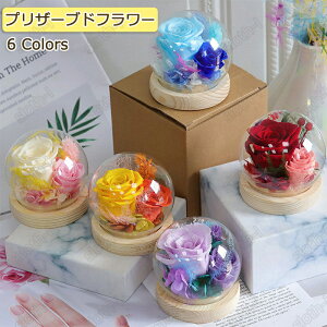 n[g̃KXJo[ vU[uht[ Iׂ6 pbg o a v[g o^C   c FB  a j j LO ʉ җj