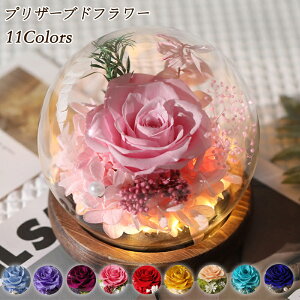 �n�[�g�̃K���X�J�o�[ �v���U�[�u�h�t�����[ LED���C�g�t�� �I�ׂ�6�� �p���b�g �o�� �a���� �v���[���g �o�����^�C�� ���� �� �c�� ���F�B ������� ���a���� ���j�� �����j�� �����L�O�� ��