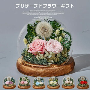 G^[it[ vU[uht[ Iׂ6 pbg o a v[g o^C FB  a j LO ʉ җj uU[ht[ M