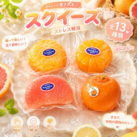 スクイーズ 水感 13種類 ストレス解消 ぷにぷに触感 クイーズおもちゃ もちもち 癒し 減圧 握る スフレ オレンジ リアル ベーカリー ブレッド 低反発 触感いい 人気 可愛い 減圧グッズ ソフト感覚 弾力性抜群 食品グレードシリコン おしゃれ 子供 大人 男の子 女の子 大量