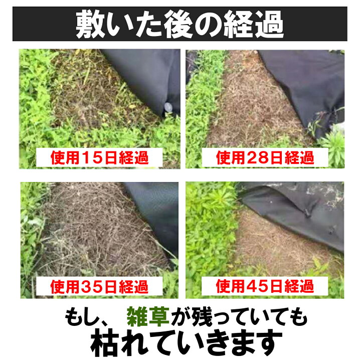 楽天市場 楽天2冠獲得 防草シート 1m 10m 2枚入り 不織布 高耐久 雑草対策 雑草防止 除草シート 雑草シート ピン プレート セット付き 農業 園芸 家庭菜園 ガーデニング 空き地 Vistar オンラインショップ