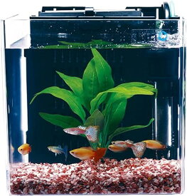 テトラ (Tetra) スマート熱帯魚飼育セットSP-17TF (水槽容量 5L) 水槽 アクアリウム サカナ