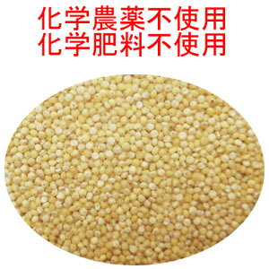 @Fi@邿с@Ɩp2.5kg×5 Iw_sgp