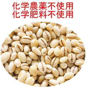 z֐p@唞@260g w_sgp(ʖ@/۔)E󂯂Ɓ@_`__CGbg@ő唞Љ܂H@ۂ̕Ɂ@w_sgp͔|@ƂĂS