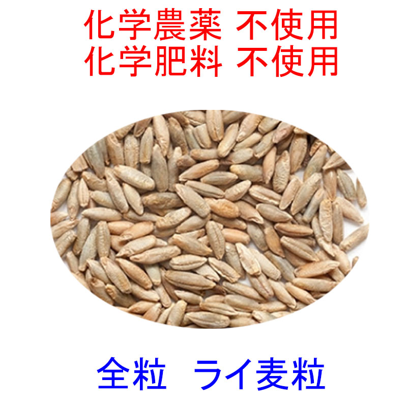 外皮を残した　全粒  ライ麦粒　2.5kg　海外認定品原料100％使用　ライムギ