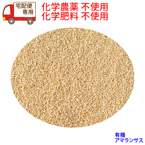 z֊]̂qlpFi@A}TX@380g×2@`bNt܂ɂȂ܂w_sgp͒SňSłIHȌ̈ TVԑgȂǂ̕,̎Eɂ