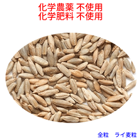 外皮を残した　全粒 ライ麦粒　2.5kg　海外認定品原料100％使用　ライムギ