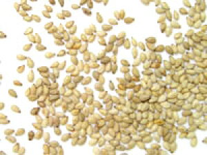 Ɩ֌WҐp@͂ɉЖȂꍇ̓LZɂȂ܂B@L@JASFi@ƖXp@_򂳂΂iL@蔒܁@15kgi񂹂̂߁A݌ɊmFゲA