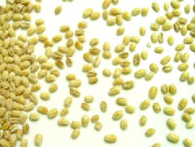 洗う手間なし　昔ながらの粒大麦　業務用2.5kg世界一受けたい授業　胆汁酸ダイエット方法で大麦が紹介されました食物繊維の宝庫　化学農薬不使用栽培　とっても安心！