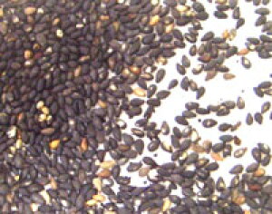 Ɩ֌WҐp@͂ɉЖȂꍇ̓LZɂȂ܂B@L@JASFi@ƖXp@oN15kg@L@JAS荕܁@@Ii񂹂̂߁A݌ɊmFゲA