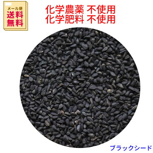 [֑ ubNV[h@280g@X[p[t[h ( ubNN~V[h AJW AjQ TeBo )Black seedswsAZύXsA׏s(͍̎w