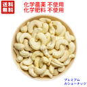 送料無料　プレミアム　カシューナッツ　 1KG（生・無塩）IMO認定品　業務用1KG　チャック付　非燻蒸　(化学農薬・化…