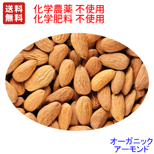 @I[KjbN@A[h z[ 12.5kg mp I[XgAY@iEj@ƖpoN12.5kg@@@(w_Ew엿jsgp͔| Y