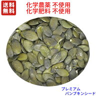 オーストリア 生 プレミアム パンプキンシード 送料無料 (沖縄、北海道を除く)化学農薬不使用栽培　(加熱…