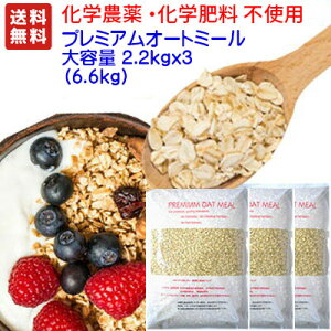 IRXpI i@X10It 6600g (2.2Kg×3) v~A I[g~[@eʁw_sgpw엿sgp͔| @@(ꒅ̏ꍇ͑ŕ1000~܂B(