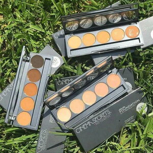 ULTIMATE FOUNDATION 5-IN-1 PRO PALETTE 500A SERIES�@�t�@���f�[�V�����p���b�g500A FPK500A