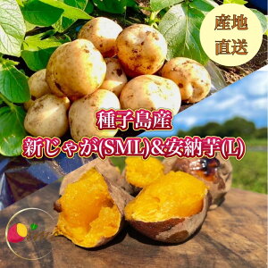 安納芋の人気商品・通販・価格比較 - 価格.com