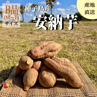 【絶品】種子島産 安納芋 B品（M〜Lサイズ）｜aimo農園