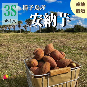 �y��i�z��q���Y ���[�� 3S�T�C�Y�baimo�_��