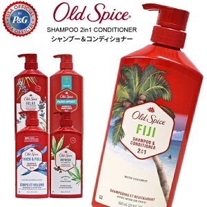 OLD SPICE I[hXpCX Vv[ RfBVi[ 2 In 1 Shampoo & Conditioner wAPA e T  ̏L fIhh L P&G č CO