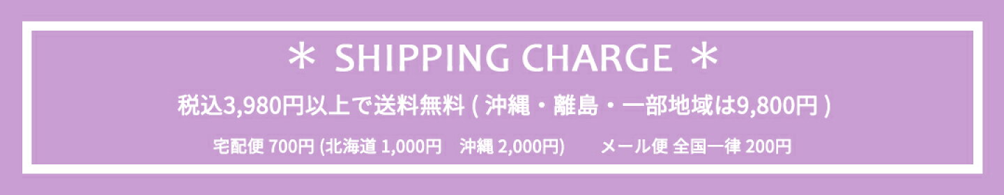 3,980円以上購入で送料無料