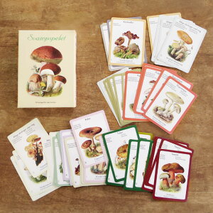 XEF[f ̂̐}ӃJ[h yLmR } CeA k J[h  A[g ʐ^z y[֑Ώەiz