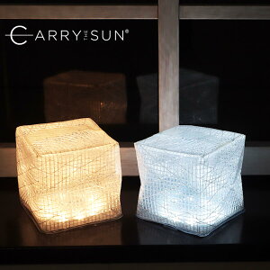 CARRY THE SUN L[UT \[[[d LEDCg ~fBA M g y ^ Cg \[[ h Lv ԐڏƖ R[hX   CeA y[֑Ώەiz