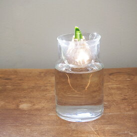花瓶 おしゃれ ガラス フラワーベース 水栽培 大きい 北欧 かわいい インテリア 花器 リューズガラス バルブ ボトル S