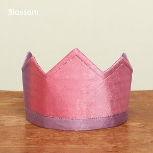 Sarah's Silks TYVN  NE yz  V q j̎q ̎q Pl l a NX}X nEB  킢 V^Ci[ eb\[z y[