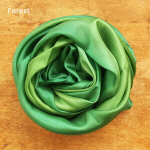 Sarah's Silks �T���Y�V���N ���C���{�[ �v���C�V���N L �A�[�X Earth Playsilks �y�z �������� �������V�� ���܂܂��� �m��ߋ� �a���� �o�Y�j�� �N���X �V���^�C�i�[ �����e�b�\�[���z �y���[���֑�