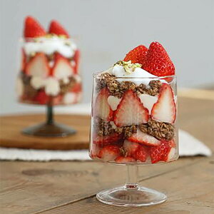 Skon XR Subg ySkn H KX fU[g R[q[ C r[ W[X XC[c ACX ptF ϔMKX Jbv  킢z