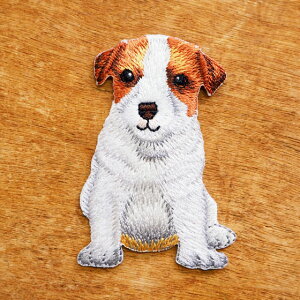 �A�b�v���P �A�C���� ���b�y�� �W���b�N���b�Z���e���A �� ���̎q �j�̎q ���� ���킢�� ��l���� Totalitat �g�^���^�b�g �A�C�������b�y�� �x�r�[�h�b�O �W���b�N���b�Z���e���A�� �y���[��