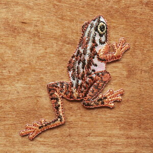 by AC AbvP ̎q j̎q JG  w q 킢 | nhCh Totalitat g^^bg AbvPby uE c[ tbO y[֑Ώەiz