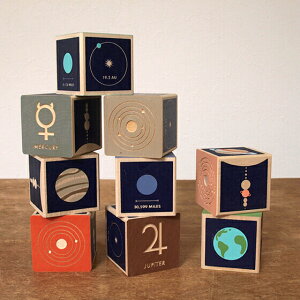 ubN ςݖ ϖ ݂ ؐ  ؂̂ F f Ȋw ؐߋ mߋ oYj a CeA xr[ LbY AJ UNCLE GOOSE ANO[X vlbgub