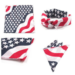 NO BRANDyI[i[pϑIȃoCAX̃fUCz o_iylCr[/bhzVi Y fB[X jp AJ  USA  A m[uh Ralph Lauren t