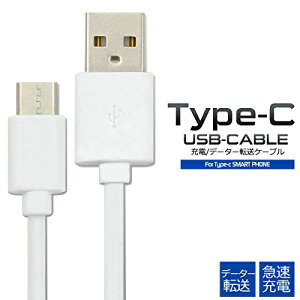 USB Type-C P[u }[d f[^ʐM f[^] 2A USB-CP[u Type-CP[u Nintendo Switch CVSwitch XCb` [d zCg 0.5m 1m 2m
