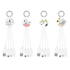 10/1|Cg5{ Xk[s[ s[ibc }`[dP[u [dP[u @\P[u USBP[u Lightning USB Type-C micro USB iPhone[d X}z[d L[z_[ Jrit L
