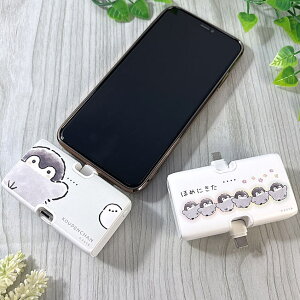 N[|zz |Cg2{ REy ^я[d oCobe[ R[hX mP[u CgjO ^CvC 4000mAh Lightning Type-C [d X}z[d iPhone[d y ^ 