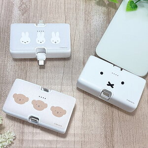 N[|zz |Cg5{ ~btB[ ^я[d oCobe[ CgjO ^CvC R[hX P[uX 4000mAh Lightning Type-C [d X}z iPhone [d y ^ obe