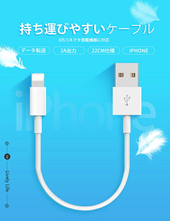 楽天市場】【単品注文不可】【2本セット】 iPhone14 Pro Max 充電 
