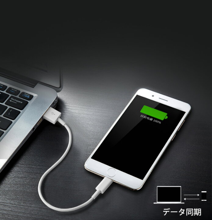 楽天市場】【単品注文不可】【2本セット】 iPhone14 Pro Max 充電 