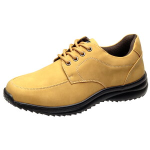 y݌ɌzEH[LOV[Y JWAV[Y Y y h h L 4E Obv\[ TCht@Xi[ tFCNU[ v[gD JV ubN _[NuE 