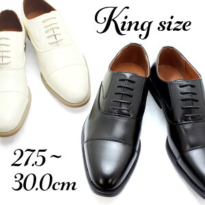 LOTCY 30cm܂ Xg[g`bv hXV[Y  27.5cm ItzCg ubN 2FWJ  w Ǝ \ p[eB[ \ X^CbV i vC