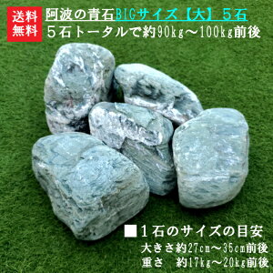 yzyszg̐΁ygBIGTCY[]h5΃Zbgz傫΂łOOy΁zy΁z@̃TCY̐΂ЂƂ܂傫߂̐΃Zbgł