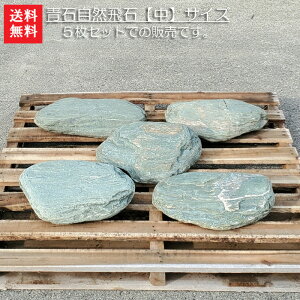 yzyszyѐ΁z΂̎R5ZbgyzTCY΂gR΂łOOR΂̂悳y݉ByK[fjOށzy΁zy΁z