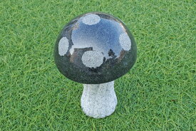 楽天市場 ガーデン きのこの通販