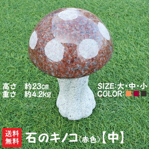 yz΂̃LmR(ԐF)yz΂ŒLmRł􂨒̃IuWFɂł傤OOyK[fEGNXeAz