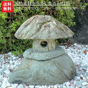 yz(AeB[N)VRfނ𐶂ΓUy2zR΂̗ǂcΓUłOO44cm