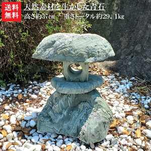 yzVRfނ𐶂ΓUy1zR΂̗ǂcΓUłOO37cm